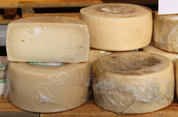 Wheels of aged pecorino cheese on display-