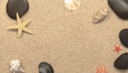 Fototapeta na wymiar Coquillages sur fond de sable fin avec espace libre. 