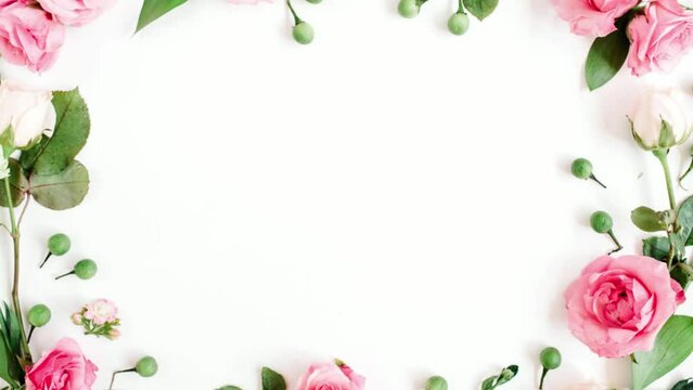 Rose flower background arranged on white background, animation