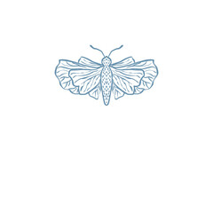 Moth, Butterfly Insect illustration logo png
