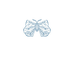 Moth, Butterfly Insect illustration logo png