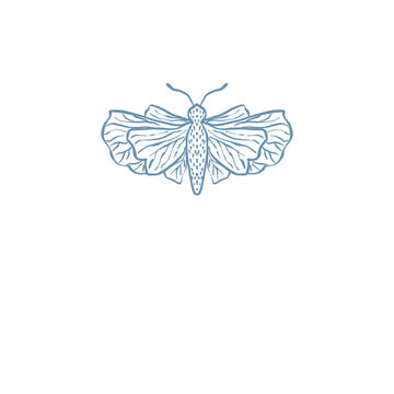 Moth, Butterfly Insect illustration logo png