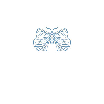 Moth, Butterfly Insect illustration logo png