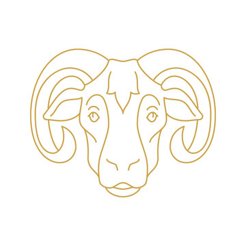 Goat muzzle with curved horns monochrome golden line icon vector illustration. Sheep ram head