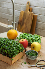 Assortment of micro greens on wooden table