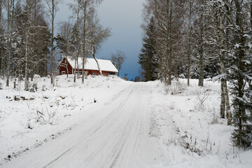 Swedish Winter Road