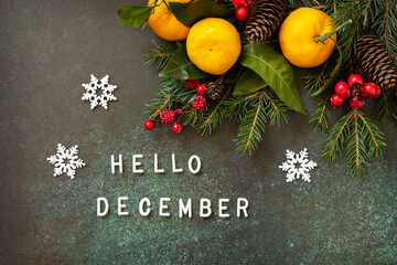 Hello december text. Cozy winter mood. Winter composition with fir branches, cones and tangerines on a stone background. Seasons greeting card. © elena_hramowa