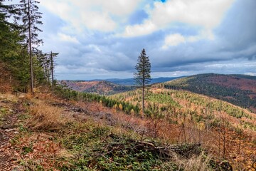 autumn nature in a czech countryside landscape and forest