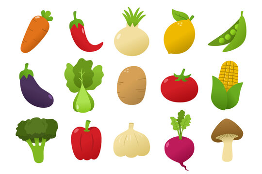 Set of Vegetables vector illustration.