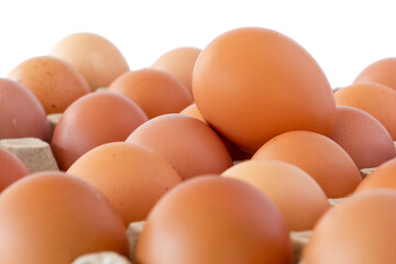 Close up view of chicken eggs in paper carton tray.