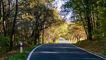 autumn nature in a czech countryside landscape and forest