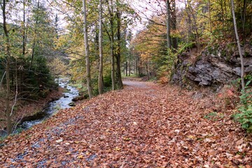 autumn nature in a czech countryside landscape and forest