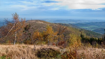 autumn nature in a czech countryside landscape and forest