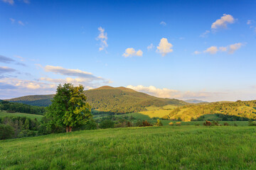 spring sunny day in mountains, bieszczady national park © uranos1980