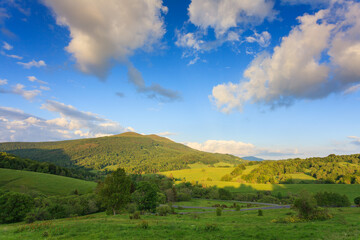 Obraz premium spring sunny day in mountains, bieszczady national park