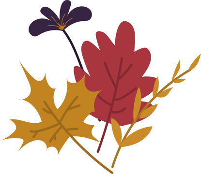 autum leaf season textured illustration 