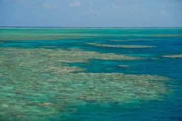 Beautiful coral and turquoise water of Great Barrier Reef, Cairns, Qeensland, Australia