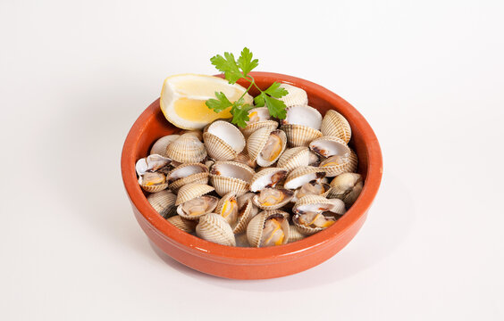 fresh seafood on clay plate, white background