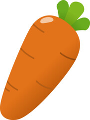 Carrot illustration