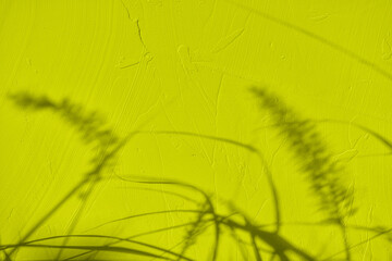 Abstract grass leaves shadows on greenish yellow concrete wall texture with roughness and irregularities. Abstract trendy nature concept background. Copy space for text overlay poster mockup flat lay 