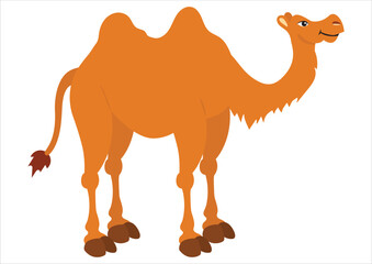 Vector Illustration of Camel isolated on white background. Clipart Camel