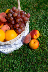 white basket with fruit in a green lawn. Grapes and peaches