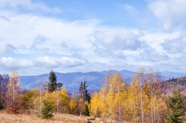 Naklejka na ściany i meble Carpathian mountains in the autumn landscape scene.