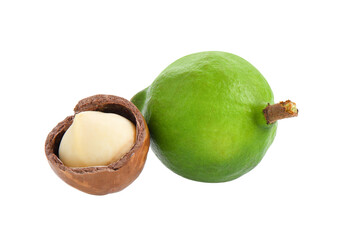 macadamia nuts isolated on transparent png
