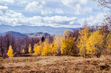 Fototapeta premium Carpathian mountains in the autumn landscape scene.