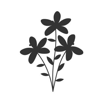 Vector isolated single pretty flower with leaves decoration outline black colored silhouette shadow EPS