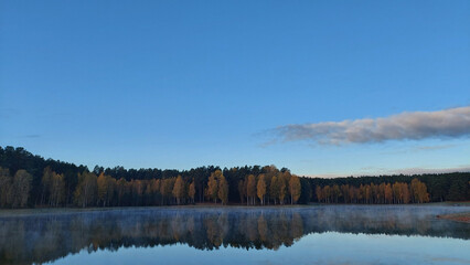 Fototapeta premium Tranquil meditative misty scenery of glacial lake with pointy fir tops reflection at early morning.