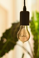 Vertical shot of a hanging light bulb