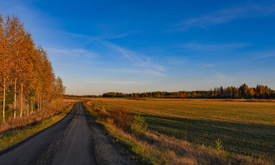 Fototapeta na wymiar Autumn landscape with narrow gravel road in the countryside