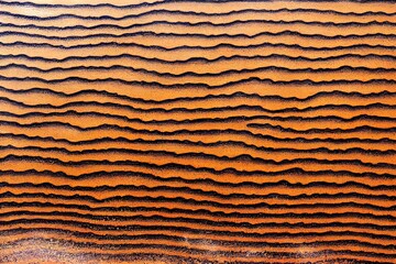 Digital graphic background of spinning sand in summer. light brown beige splashing sand scene