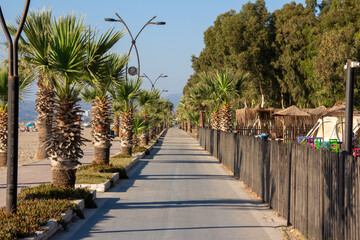 Kusadasi beach road , beach road with palms.