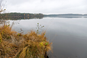 foggy landscape, rainy, gray autumn landscape from the lake, gray sky, calm water, Augstroze lake, Latvia
