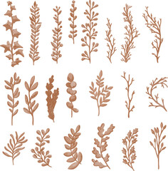 Set of Watercolor Dried Leaf, Branches clipart.