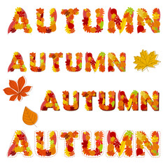 Autumn, leaves, various versions. Colorfull sign.