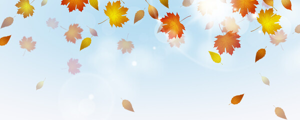 windy autumn sunny day banner