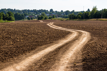 Winding dirt road through an agricultural field