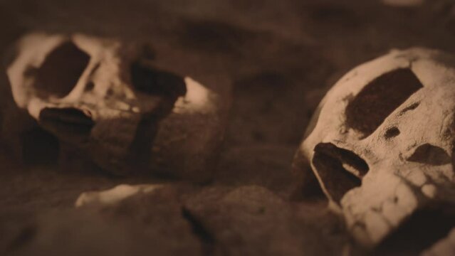 Human skulls buried in the dirt. Sunset lighting. Close up. Cinematic grading. Clip 2 of 3.
