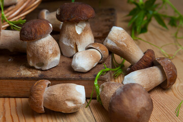 Pile of wild porcini mushrooms on wooden background at autumn season..