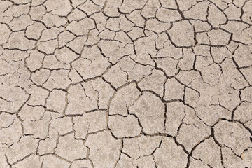 Dry cracked ground in a dried up lake