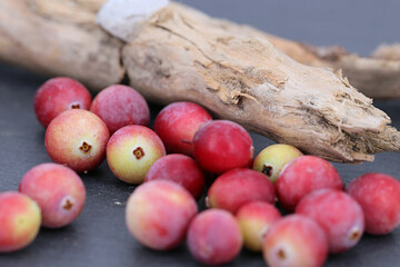 Mit Vitamin C gesund durch den Winter - Nahaufnahme von frisch geernteten Cranberrys