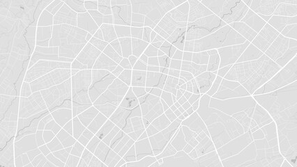 White and light grey Tashkent city area vector background map, roads and water illustration. Widescreen proportion, digital flat design.
