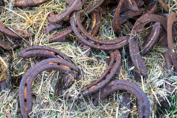 Old rusted horseshoes in the hay.