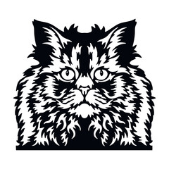 Selkirk Rex Cat Vector, Peeking Cats, Cats Breed, Pet Vector portrait, Cats Head