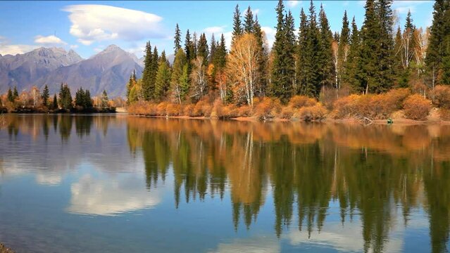 Scenic autumn landscape with yellowed trees on banks of Irkut River and mountains of Eastern Sayan in distance on sunny September day. Baikal region, Buryatia, Tunka foothill valley