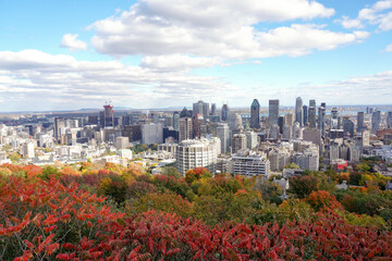 Montreal, Quebec - Canada - October 10, 2022: Montreal Cityscape in a Beautiful Sunny Day. Montreal View from the Top of Mount Royal Park.