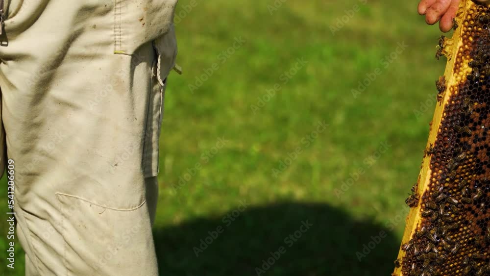 Poster beekeeper in a full uniform working and checking on the beehive